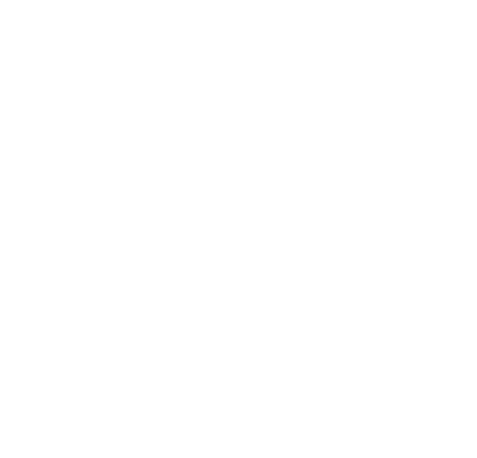 世界級青埔國家級建設